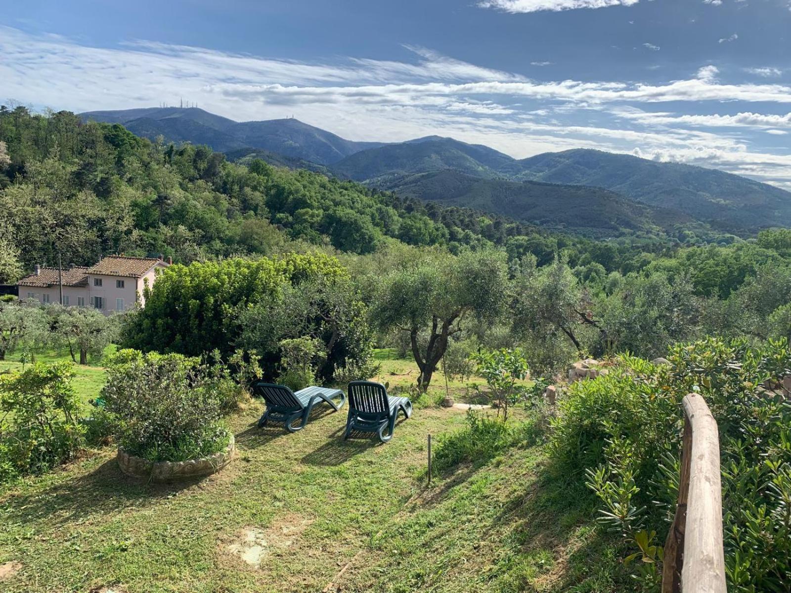 Villa La Capanna Di Arturo Piano Terra Capannori Esterno foto
