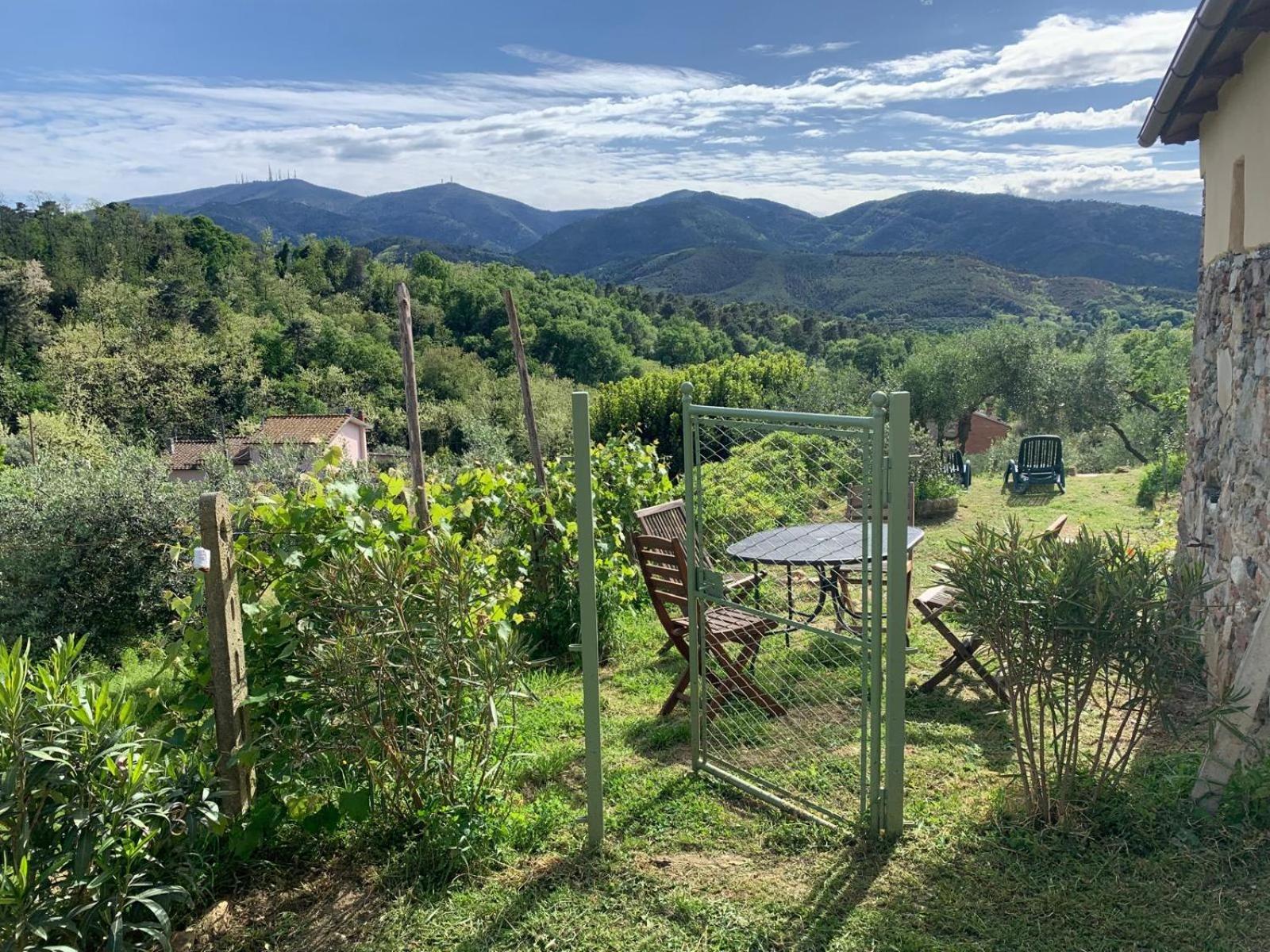 Villa La Capanna Di Arturo Piano Terra Capannori Esterno foto